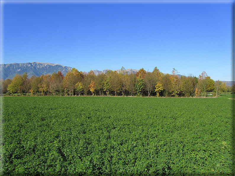 foto Alle pendici del Monte Grappa in Autunno